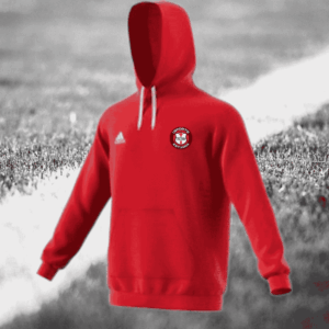 Adidas Entrada 22 Hoodie
